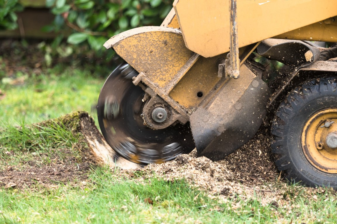 An image of Stump Grinding in Friendswood TX
